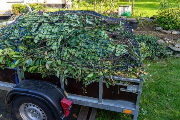 Best Carpet Removal and Disposal  in Brookfield, IL